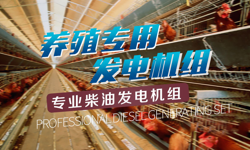 養(yǎng)殖專用柴油發(fā)電機組